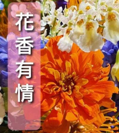 花香祈福 2次(初一/十五各一次)  1200